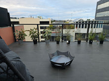 Load image into Gallery viewer, The Pit