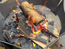 Load image into Gallery viewer, The Pit